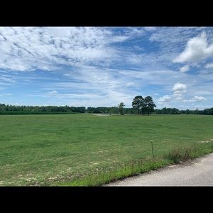 Meet your Posher, Lexie